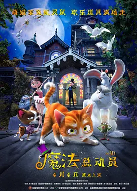 国产高清视频在线播放一区